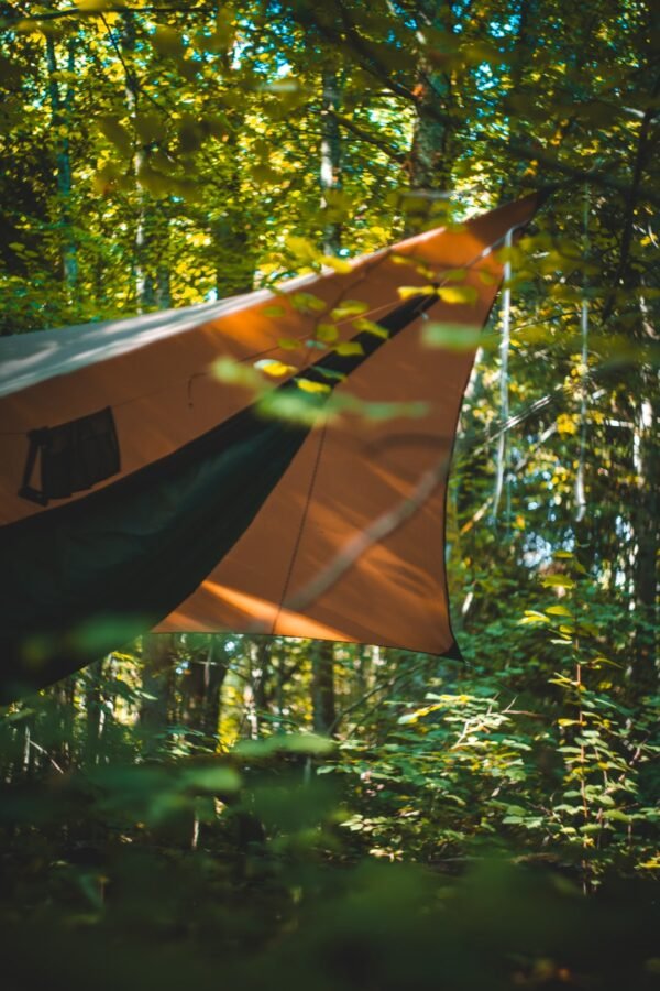 needfortrees ultralight tarp (canopy, shelter)