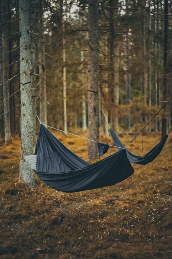 needfortrees double layer hammock with ridgeline, in the forest, nft hammock