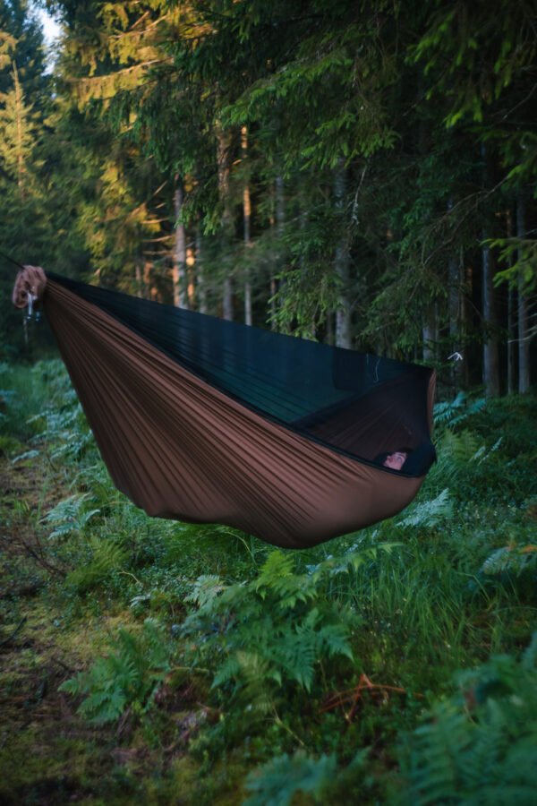 camping hammock in a forest
