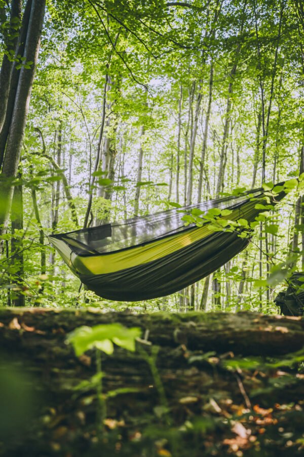 hammock in summer forest