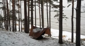 20d silpoly tarp need for trees in winter