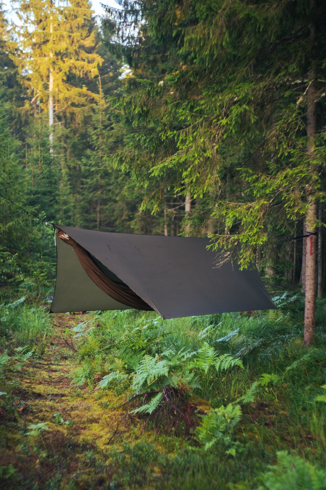 need for trees shako silpoly hammock tarp