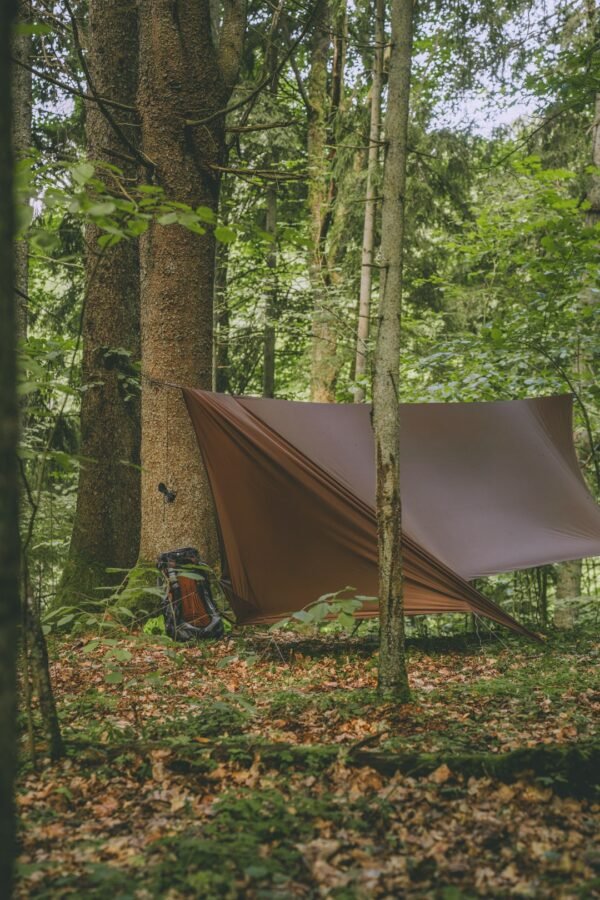Tarp addon "Šiknuosparne snaps"