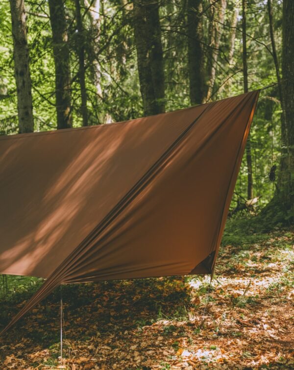 Tarp addon "Šiknuosparne snaps"