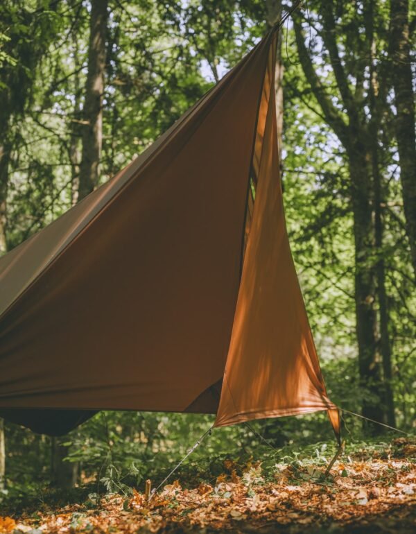Tarp addon "Šiknuosparne snaps"