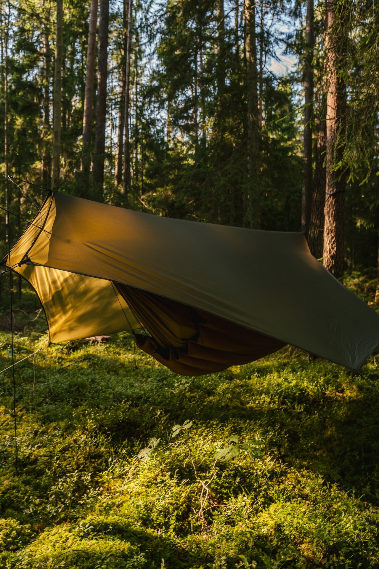 hammock tarp with doors silpoly tarp need for trees