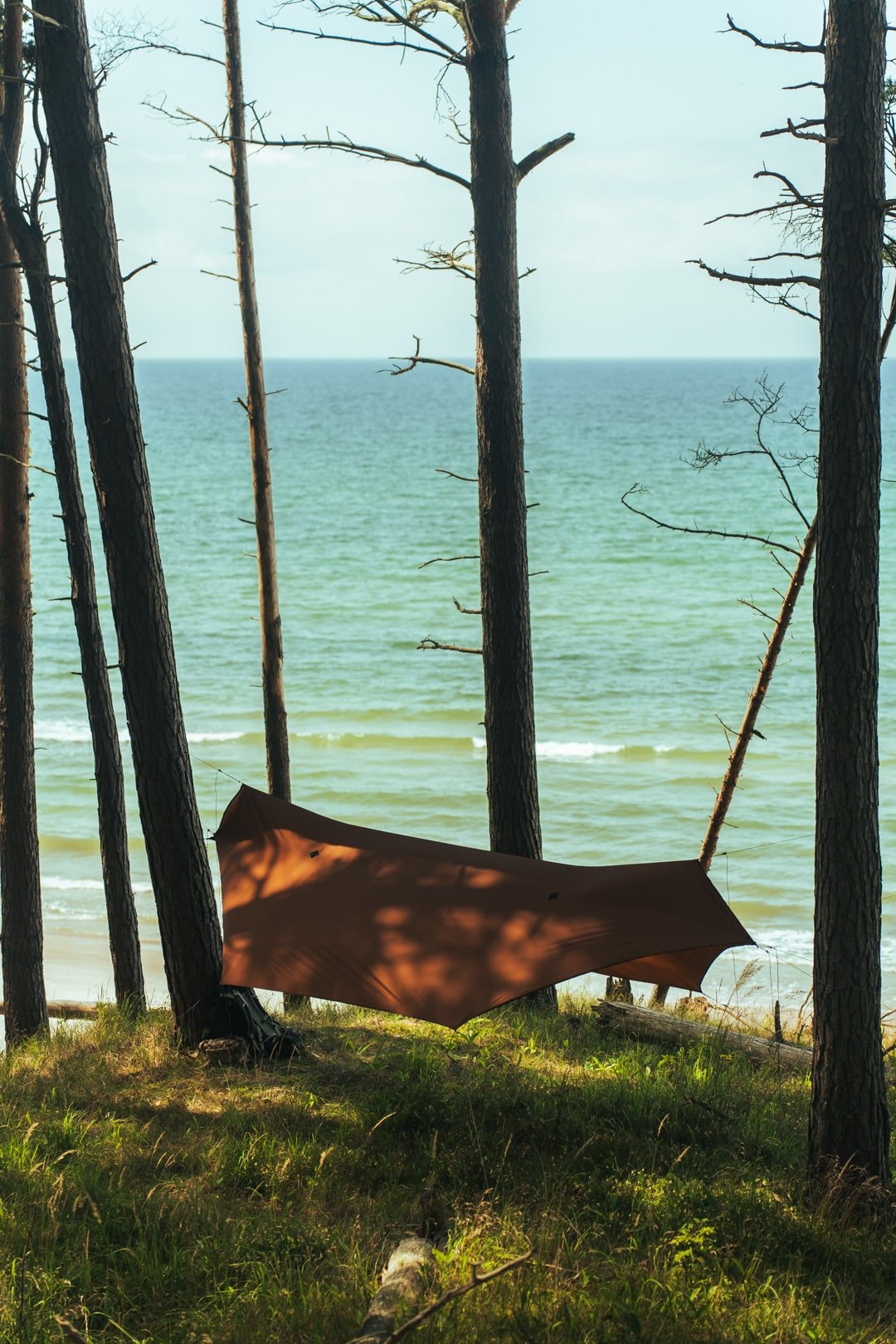 need for trees tarp with doors gulf from above