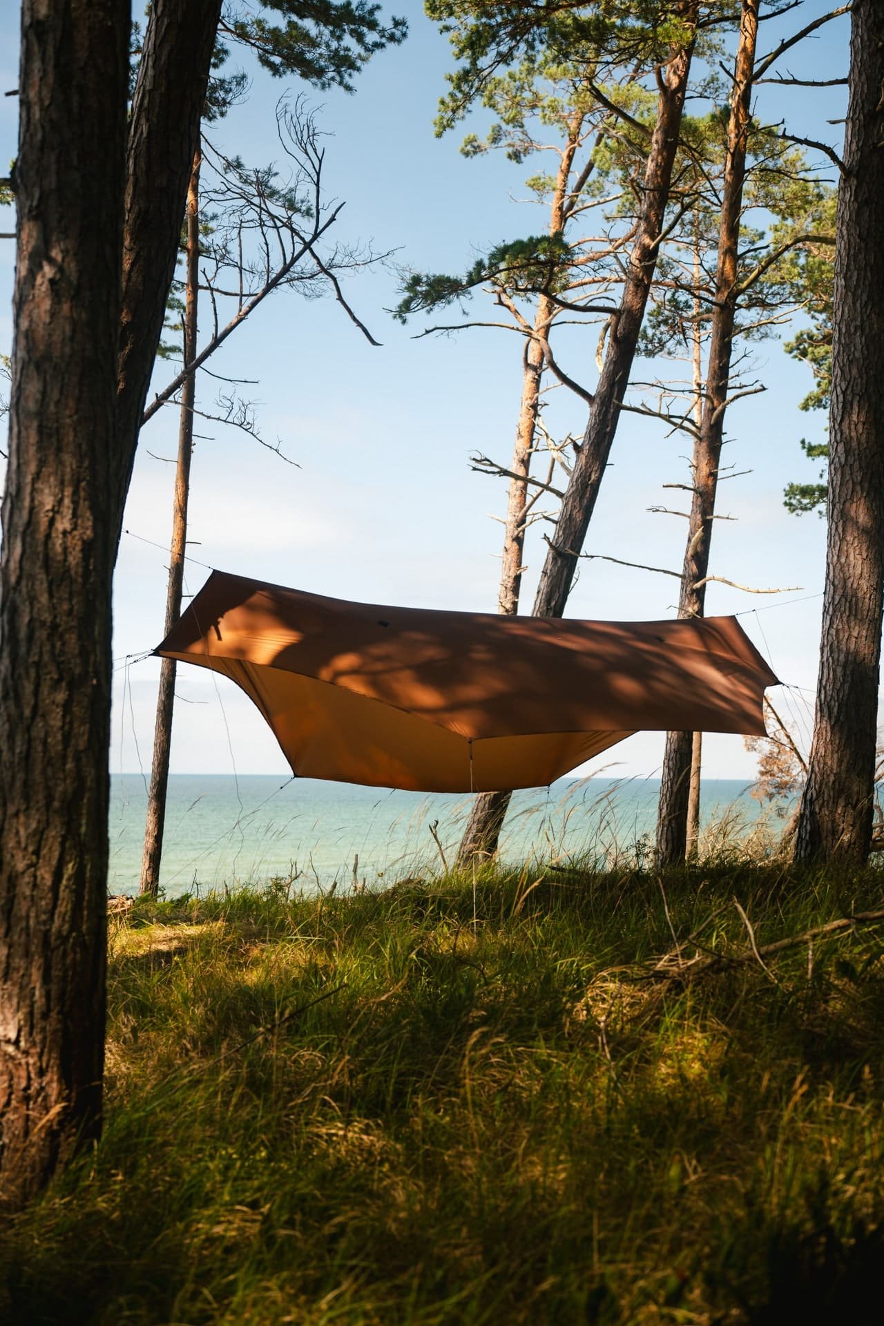 need for trees silpoly tarp gulf