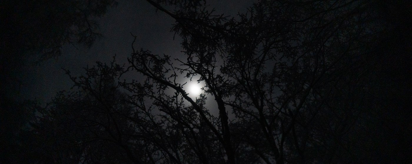 winter night with a full moon