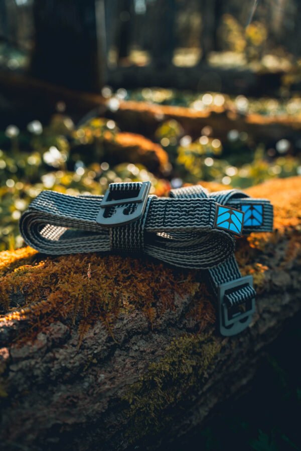 DSC05974 hammock straps with cinch buckle