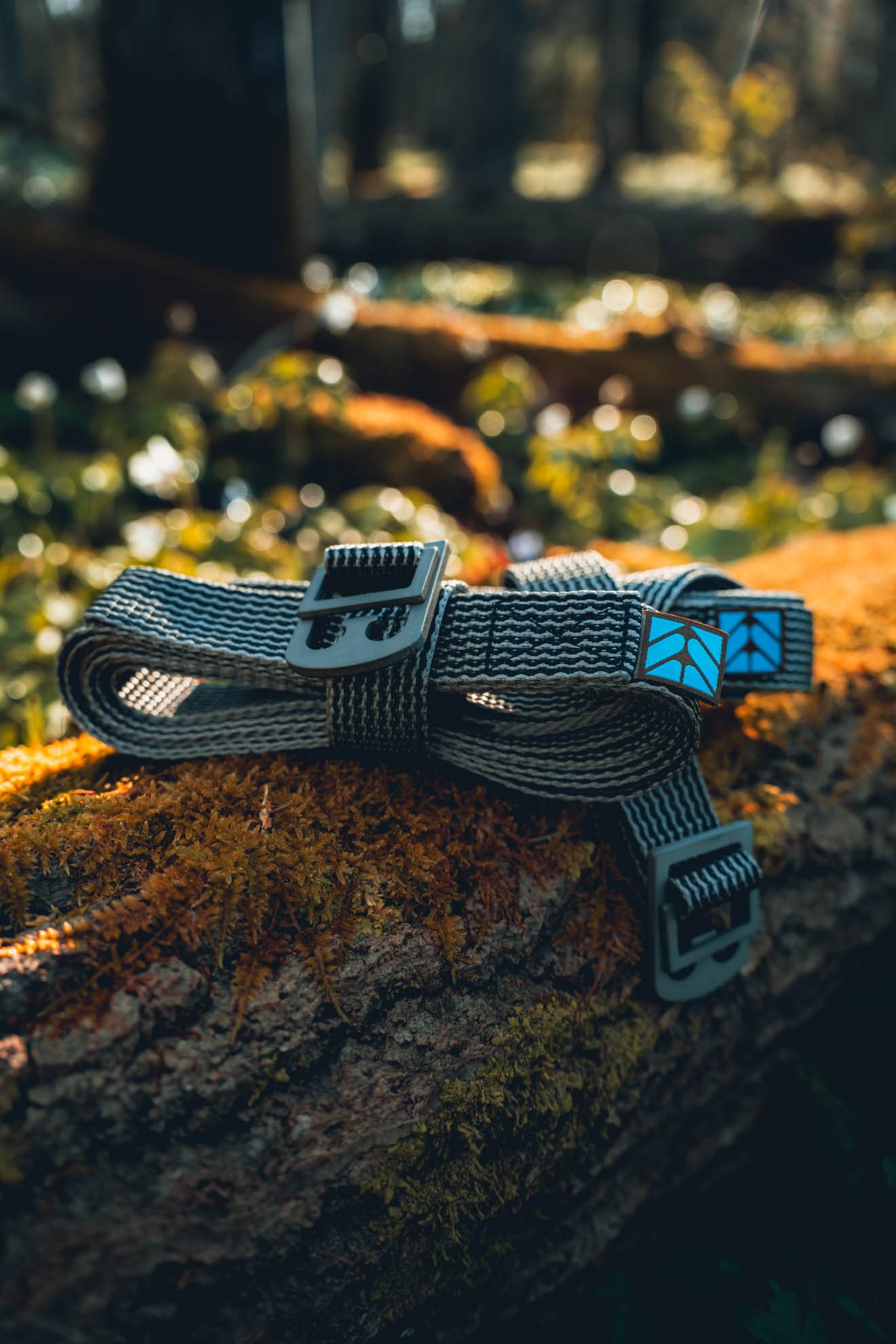 hammock straps with cinch buckle