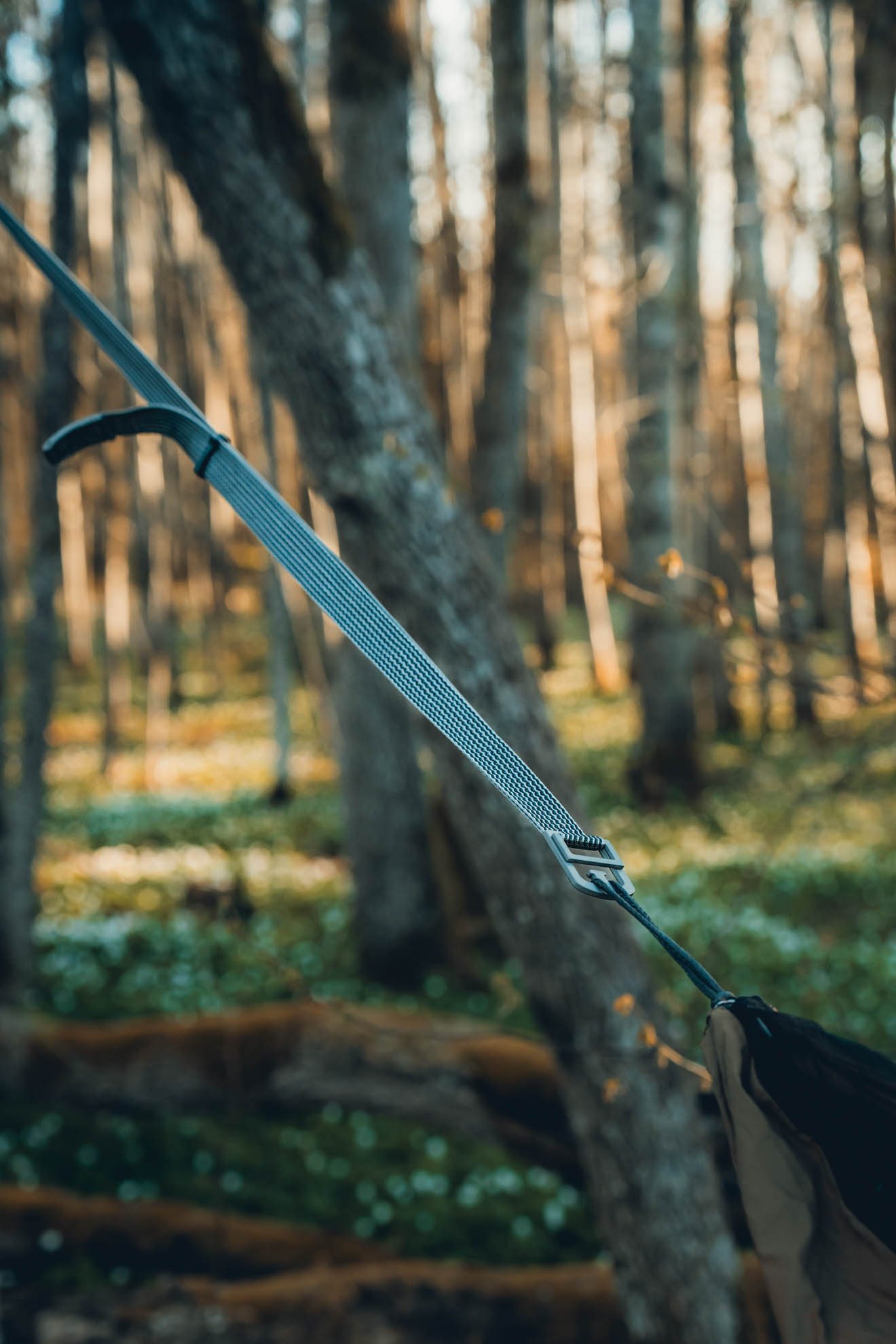 cinch buckle hammock suspension