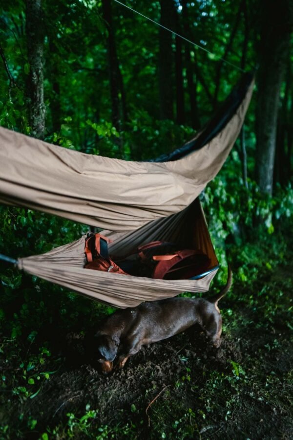 hammock gear sling hammock gear sling, mini hammock