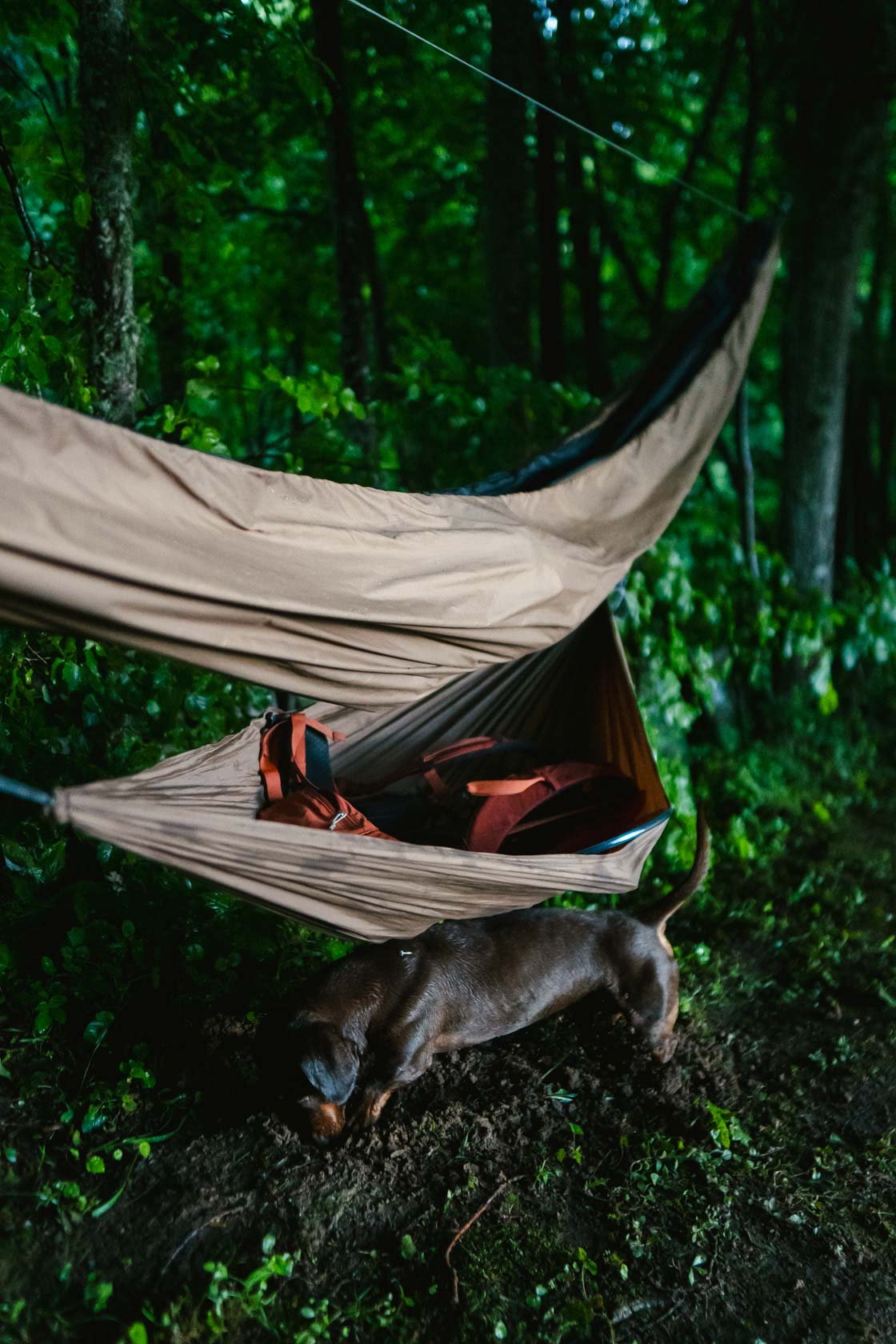 hammock gear sling
